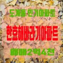 해바라기부동산중개사무소 | 창원시 의창구 도계동 부동산 아파트매매 한효...매매 2억4천만[도계동아파트전문 현대부동산]