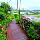 행진결혼정보 이미지