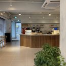 알케미스타 이미지