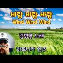바람 바람 바람 - 김범룡 노래 이미지
