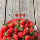 죽성농장 이미지