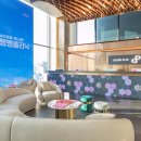 팽팽의원 이미지