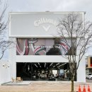 캘러웨이(Callaway) 이미지