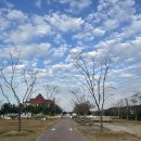 한마음 애견용품 | 태안 [하늘과바다사이 리조트] 365호 _애견동반 내돈내산 후기