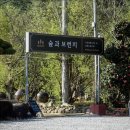 구례숲