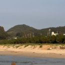 교촌치킨 도구청림점 이미지