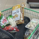 퍼피랜드애견온수수영장펜션