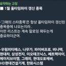 우림그래피