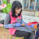 개미유치원 이미지