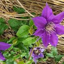 만경농장2 이미지