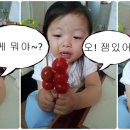 열꼬지 이미지