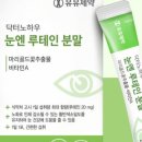닥터 노하우
