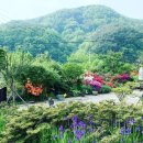 송선생댁 이미지