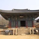 대흥사 이미지