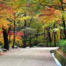 우암목장 이미지