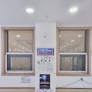 인제팔팔의원 네이버블로그