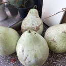 원풍식당 이미지