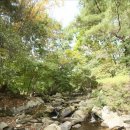 단풍나무펜션 이미지