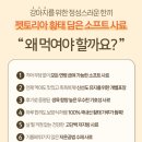 야옹아멍멍해봐단관점