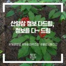 더드림다드림 이미지