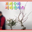 예나원