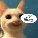 용빈각