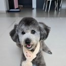 멍뷰티샵 네이버블로그