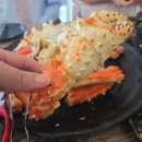가락시장 맛집 호남수산 킹크랩 2마리 6kg 내돈내산후기 거북선식당