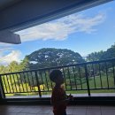 음지천 | 첫 괌 이야기 (아이와 PIC 골드 패스)