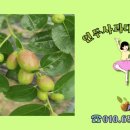 세중농장 이미지