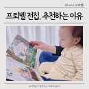 유아 전집 프뢰벨 추천 이유 두돌아기 책육아 후기