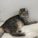 하비프레리 이미지