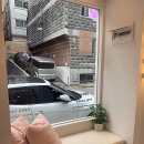 네일바이리