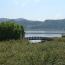 부여 궁남지 국화, 알밤축제, 장항 스카이워크, 신성리 갈대밭 이미지