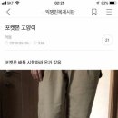VIP세탁소 이미지