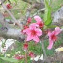 금보농장 이미지