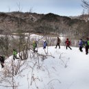 소나무(산촌마을) 이미지