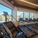 CHA CHA GYM 네이버블로그