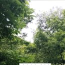 옥당걸숲속 이미지