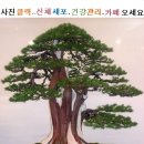 기차 시간,표,고속도로,지하철,서울,부산,대구,인천,광주,대전 이미지