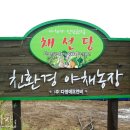 연임농장` | [샤브미인 2기] 샤브미인 2기들과 함께 남양주에 있는 &lt;채선당 야채농장 체험&gt; 다녀왔어요...^^
