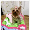 퀸스네일 네이버블로그