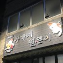 부가네얼큰이용담점 네이버블로그