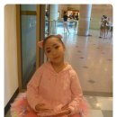 서울대진초등학교 이미지