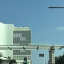 아난티 앳 부산 코브호텔 식당가 | 부산 기장 숙소 ‘아난티 앳 부산 코브’ 이그제큐티브 마운틴뷰 룸 후기 부산 호텔 호캉스 추천