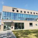 올리라피 이미지