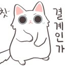 언덜 이미지