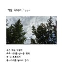 하늘사다리 Daum카페