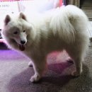 시인과 바다 옆 공중화장실 이미지