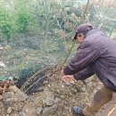 고수농장 이미지